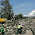 Polomljeno drveće i granje odneli sa 147 lokacija: Zaposleni "Gradskog zelenila" u Novom Sadu imaju puno posla zbog nevremena