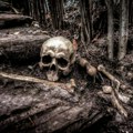 Za tri dana u Crnoj Gori pronađena tri skeleta