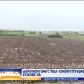 Agronomi savetuju: Kragujevčani, iskoristite kišu i sneg za setvu VIDEO