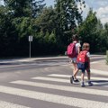 Roditelji, škole i država – ko je odgovoran za bezbednost mališana?