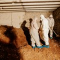 "Najveća sramota bezbednosnog sektora u Crnoj Gori": Oslobođeni svi koji su optuženi u predmetu "Tunel"