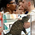 Košarkašima Zvezde se povredila i čuvena mačka: Ljubica morala kod veterinara, a "oglasila" se i saopštenjem!