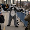 Napadao ljude u kostimu rakuna na Brankovom mostu Prestonička Hitna pomoć ne pamti ovako bizaran slučaj! Evo šta se desilo sa…
