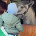 PRVOMAJSKI DAN U ZOO PLANETU: PIKNIK, PORODICE I BORAVAK U PRIRODI UZ ŽIVOTINJE