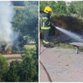 (Video) Vatra buknula u Limanskom parku, požar izazvao uznemirenje građana, vatrogasci odmah reagovali