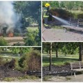 (Video) Vatra buknula u Limanskom parku, požar uznemirio Novosađane, vatrogasci odmah reagovali