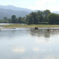 Porodica nastavila iz Niša veslanje Južnom Moravom - za svaki metar veslanja moguća donacija za NURDOR
