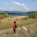 Priprema i zaštita