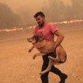 Požari u Grčkoj: Vatrena stihija u šumi odnela 18 života, evakuisana cela bolnica