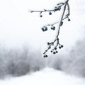 Sneg na Kopaoniku devet centimetara, temperatura šest stepena ispod nule