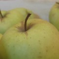 Hrvat podelio šok scenu iz marketa: Tri jabuke u kutiji sa celofanom 22 evra! (video)