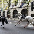 Konji britanske konjice pobegli sa vežbe: Jure centrom Londona, pozvana vojska da pomogne u njihovom lociranju