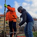 Još 50.000 i zasadićemo milion novih sadnica u Srbiji! Akcija "Zasadi drvo" u 8. sezoni na pragu naizgled nemogućeg cilja