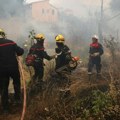 Najgora sezona šumskih požara u EU od 2006: Izgorelo područje veće od Kipra