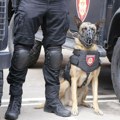 Strukovno udruženje policije povodom nestanka oružja u Doljevcu: Očekujemo procesuiranje odgovornih