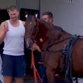 Jokić otišao u drugi deo Srbije: Pred meč sa Bosnom i Hercegovinom se pojavio na konjičkim trkama