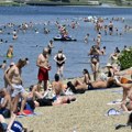Meduze primećene na Adi Ciganliji: Stručnjak otkriva da li su opasne za kupače