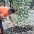 NOVI IZGLED MEĐUBLOKOVSKOG PROSTORA U NIŠU: Stanari birali kako će izgledati, sledi još 68 podzemnih kontejnera i 10 dečijih…