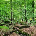 Uzbudljiv vikend paraćinskih planinara: Pohod na Žeželj, Bešnjaju i Prokletije (foto)