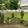 Beogradska škola sada ima zelenije školsko dvorište uz podršku kompanije P&G Beograd