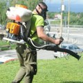 Bitka sa komarcima ne sme da stane: Ekipe JKP "Čistoća" nastavljaju sa zaprašivanjem širom prestonice