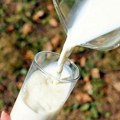 Nemojte bacati pokvareno mleko Možete ga odlično iskoristiti
