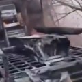 Uništen britanski pvo u Ukrajini: Spaljen Rejven - pravljen posebno za vojsku Kijeva (Video)