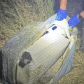 Određen pritvor Turčinu (24) osumnjičenom za ubistvo Ruskinje (28) u Borči
