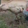Novi zemljotres jačine 4,7 pogodio Granadu: Tri osobe povređene (video)