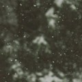 Na Jahorini i Romaniji pada prvi sneg