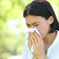 Alergija na ambroziju: Zašto ste odjednom postali alergični