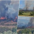 Veliki požar kod Kragujevca, gori površina od nekoliko hektara Plamen prekrio magistralu, vatrogasci pokušavaju da obuzdaju…