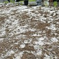 Jako olujno nevreme zahvatilo delove Šumadije, Topolu, Aranđelovac, Raču