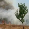 Dramatična borba s požarom u Samoljici: “Pokušavamo da spasimo ljude!” (VIDEO)