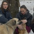 3 devojke rizikovale živote da spasu napuštene pse iz poplava u Crnoj Gori: O njihovom podvigu bruji region