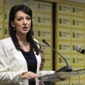 Tepić: Veliki broj građana hoće da glasa isključivo za proevropsku opoziciju
