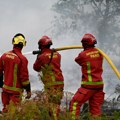Vatrena stihija u departmanu Žirond uništila banku genetskih resursa