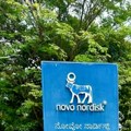 Novo Nordisk razočarao prognozama, dionice tonu