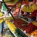 Voće dobro rodilo, ali uvoz jabuke iz Kine i Poljske oborio cene, druga klasa domaće 11 dinara