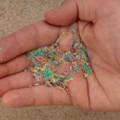 Naučnici otkrili da je mikroplastika u organizmu mogla da utiče na ponašanje