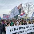 DZVM pozvala Mađare u Vojvodini da podrže studente i dođu u Beograd, na protest, 28. juna