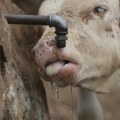 Upozorenje na temperaturu od 35 do 43 stepena, pa se očekuju vremenske nepogode