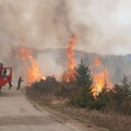 Drama i kod Nikšića: Vatrogasci se bore sa više šumskih požara, od vatre spasili brojne kuće