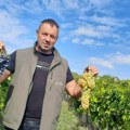 Glišići preko sto godina uzgajaju vinovu lozu, ova sezona bila je dobra za grožđe (FOTO, VIDEO)
