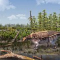 Nova vrsta oklopnih dinosaurusa pronađena na ostrvu Vajt
