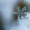 Sneg usred leta, u Sloveniji provejavale pahulje /foto/