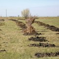 Pokret gorana iz Kikinde održao edukativnu radionicu i akciju pošumljavanja sa učenicima seoske škole