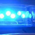 Srpski KAMIONDžIJA poginuo u Americi Na Miloša iz Leskovca pao teret sa viljuškara, ostalo troje male dece