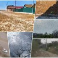 Nova invazija, milioni prekrili Ukrajinu i idu ka Rusiji, grizu sve pred sobom! Nije pošteđen ni Krim, evo šta je mogući uzrok…