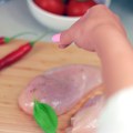 Promet mesa sa salmonelom
